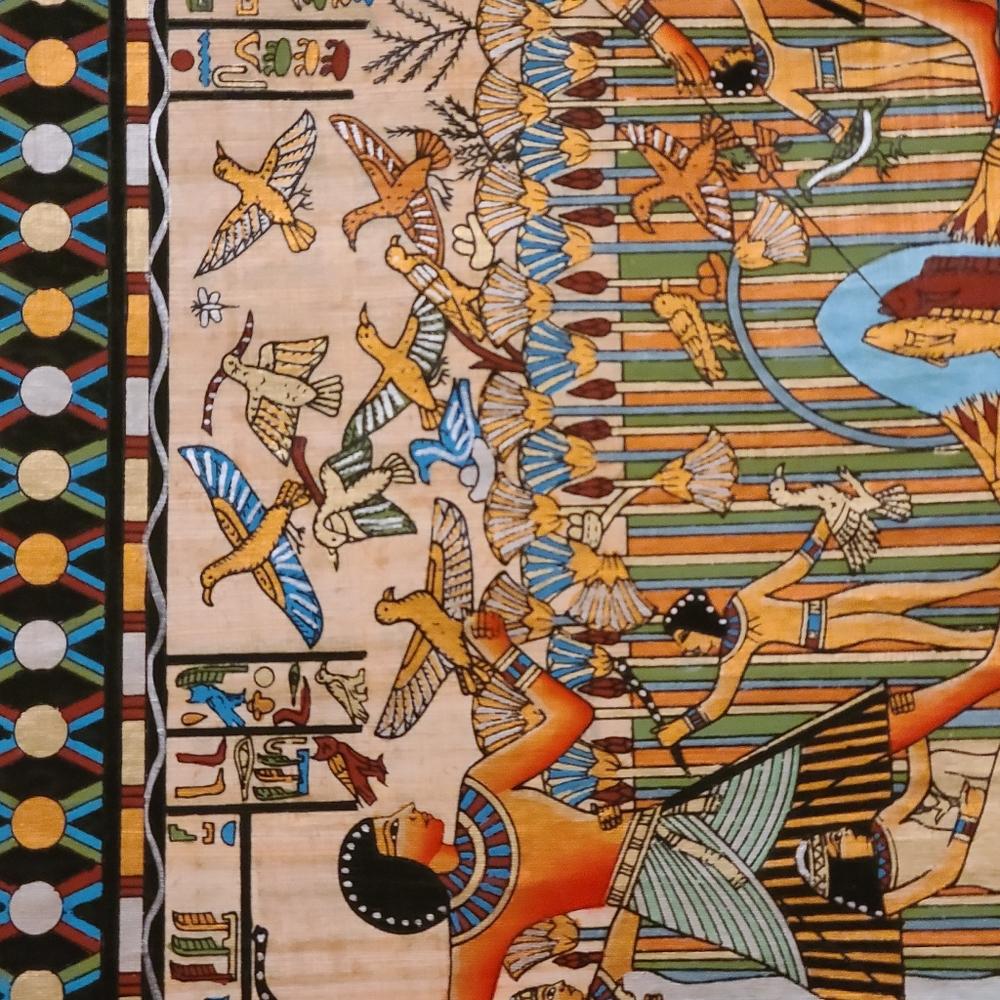 Papyrus - Picture 10 of 16